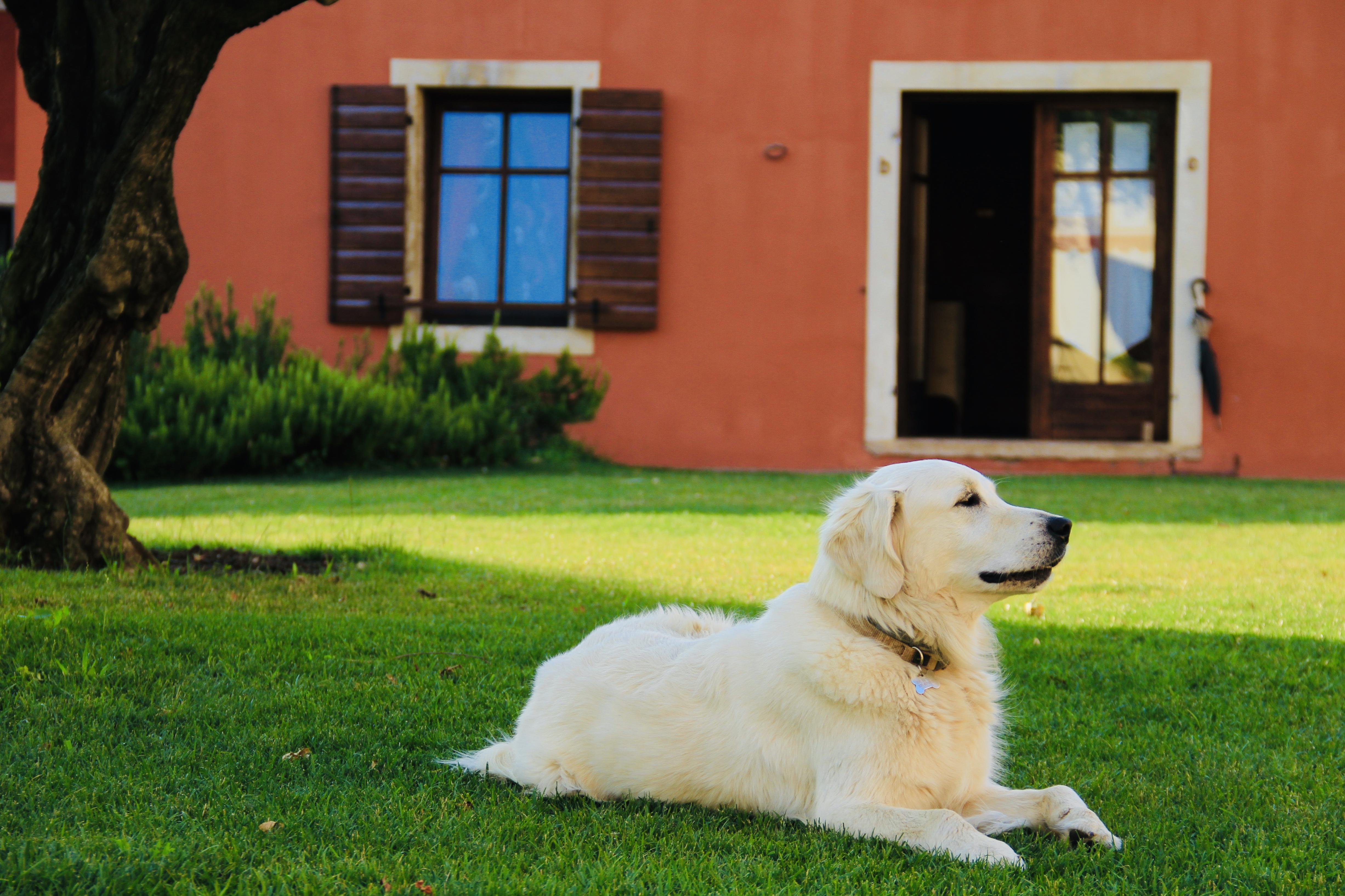 Musella Winery & Relais Guest House San Martino Buon Albergo Bagian luar foto